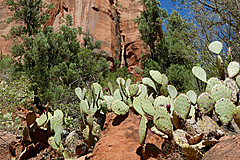 150923 USA 2015 Part 1 - Photo 0087