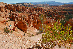 150923 USA 2015 Part 1 - Photo 0142