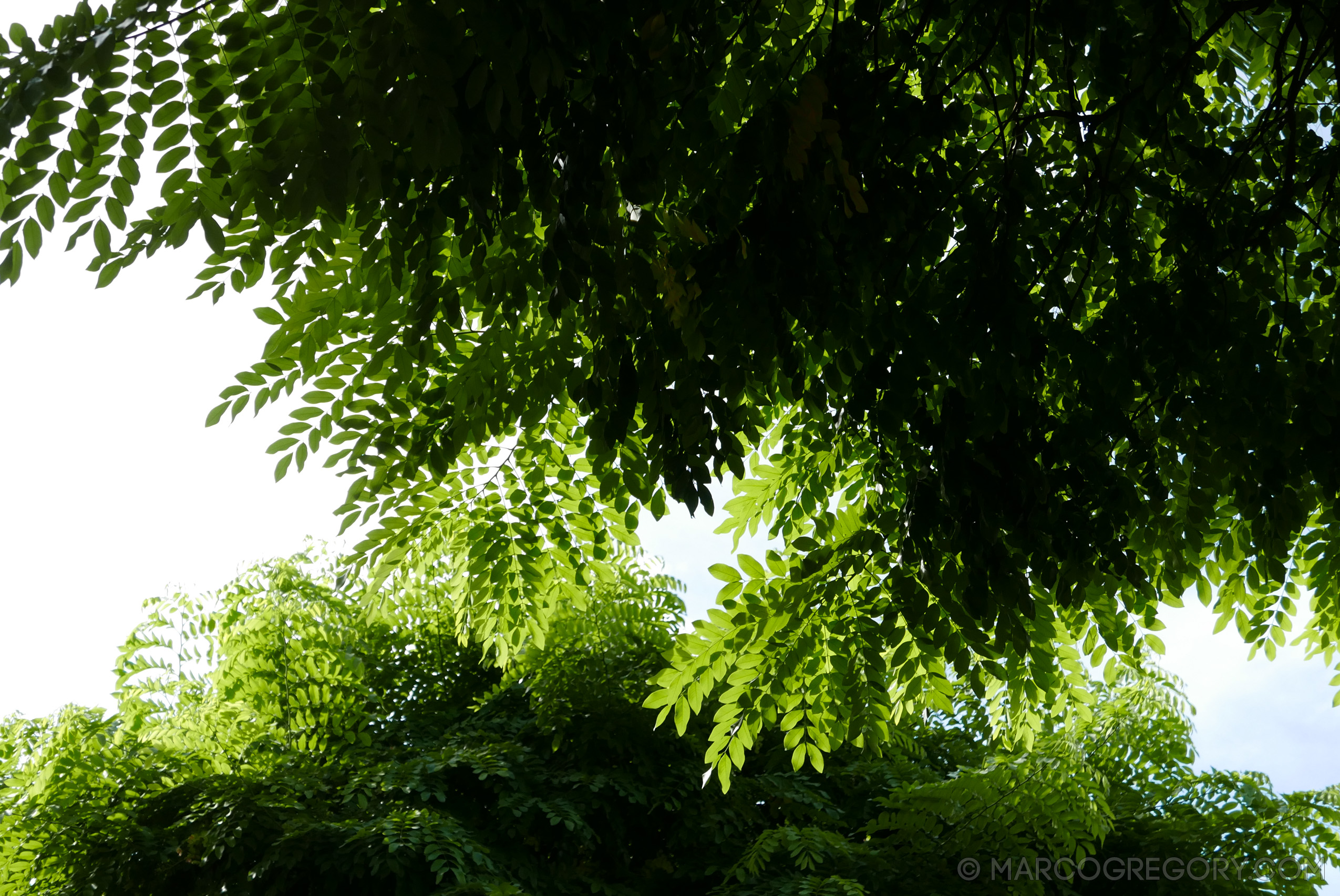 151006 Hawaii 2015 - Photo0016 of 852
