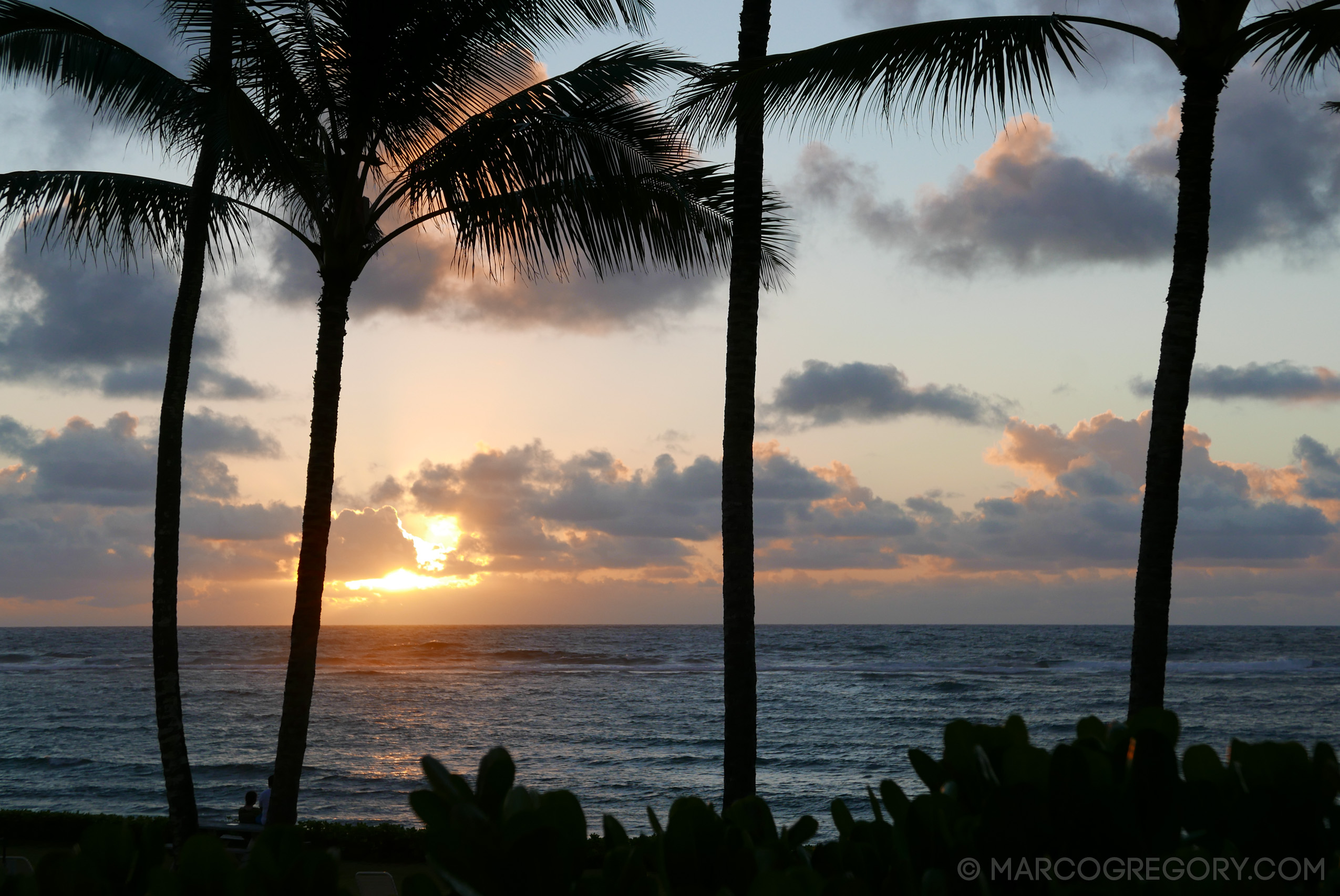 151006 Hawaii 2015 - Photo0029 of 852