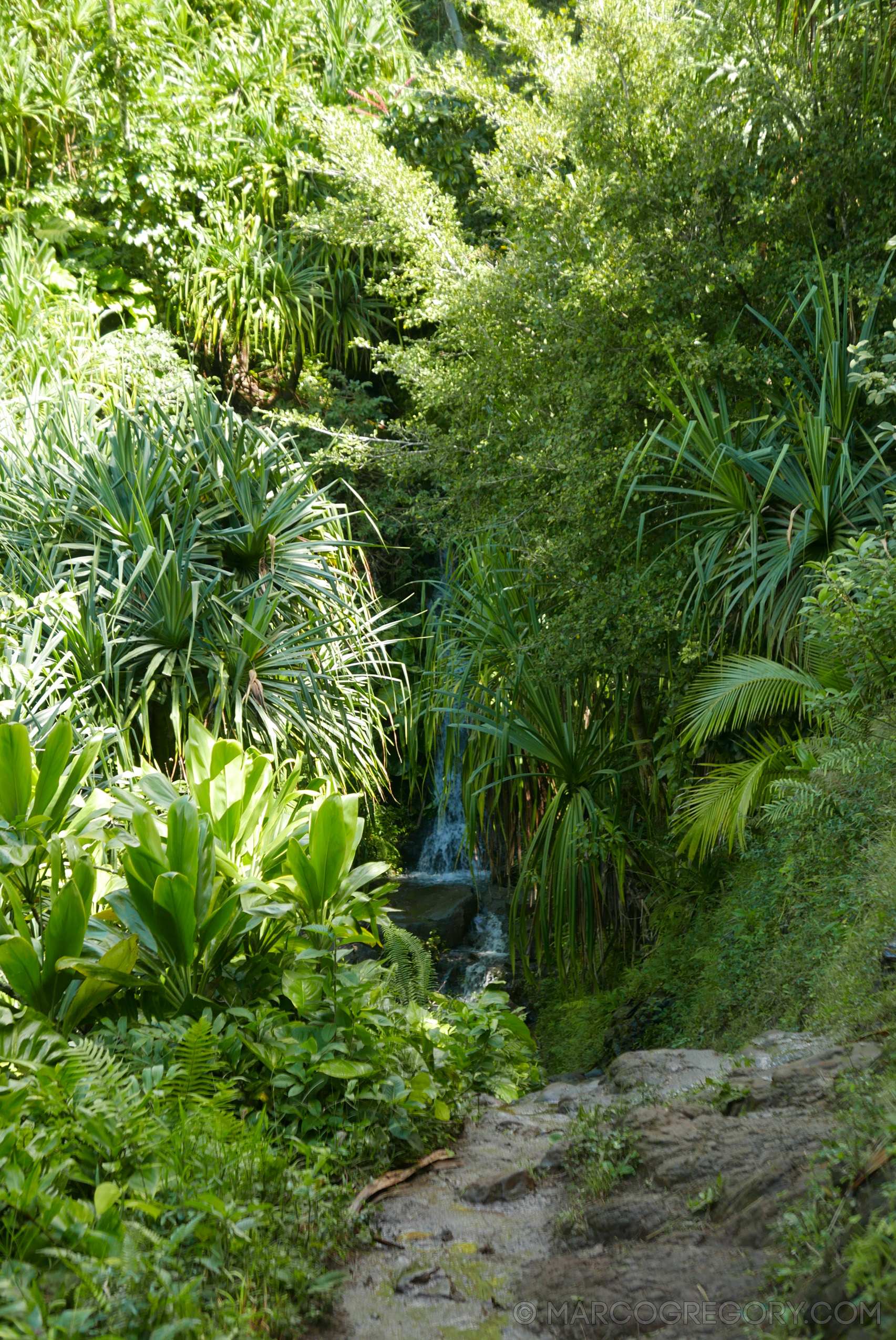 151006 Hawaii 2015 - Photo0144 of 852