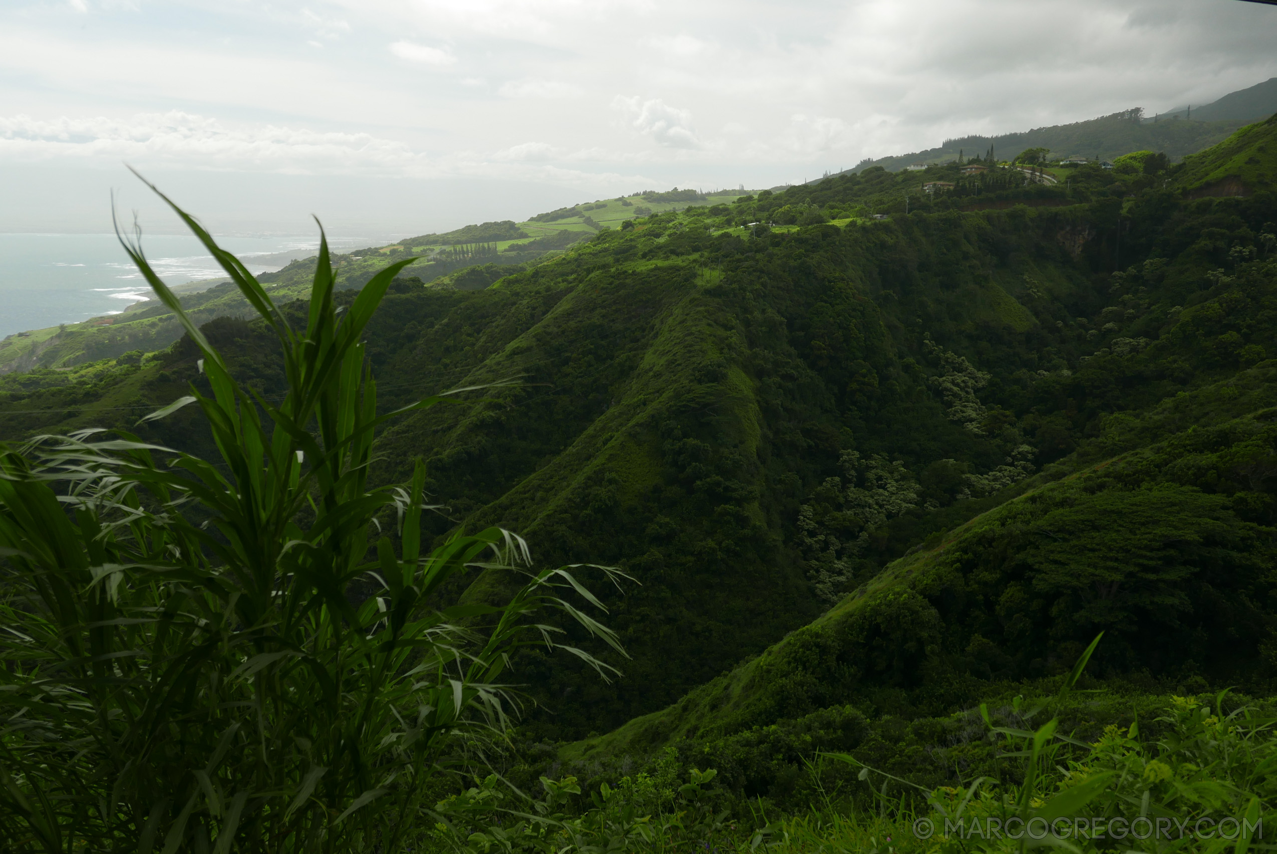 151006 Hawaii 2015 - Photo0266 of 852