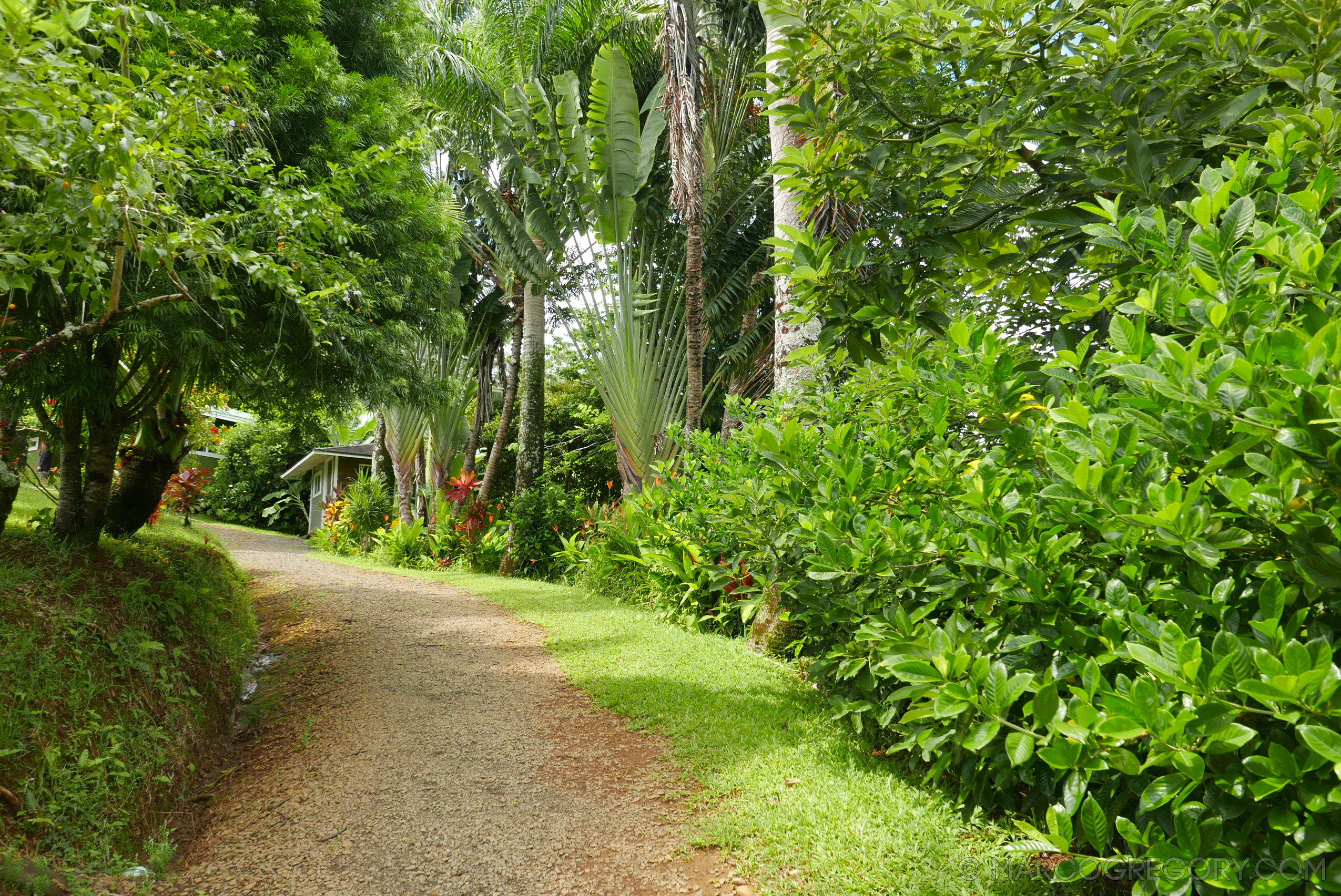 151006 Hawaii 2015 - Photo0379 of 852