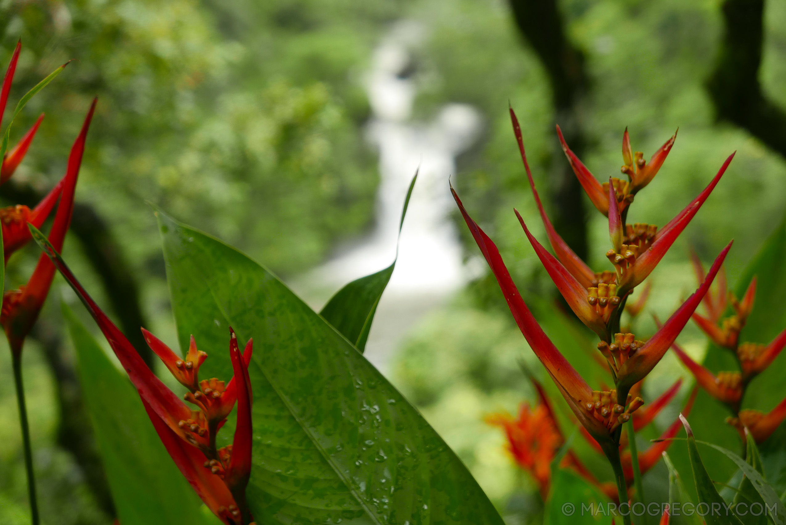 151006 Hawaii 2015 - Photo0396 of 852
