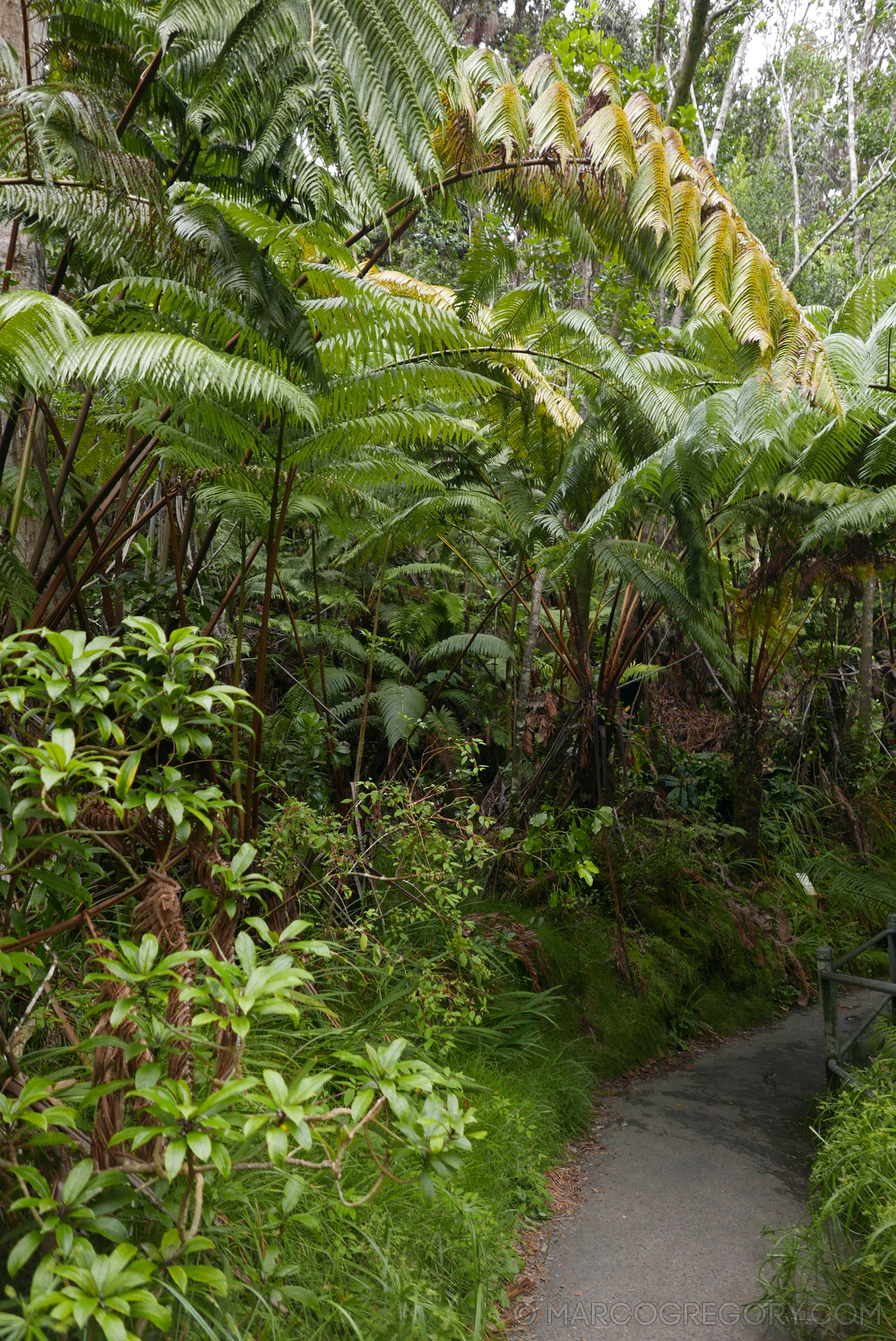 151006 Hawaii 2015 - Photo0506 of 852