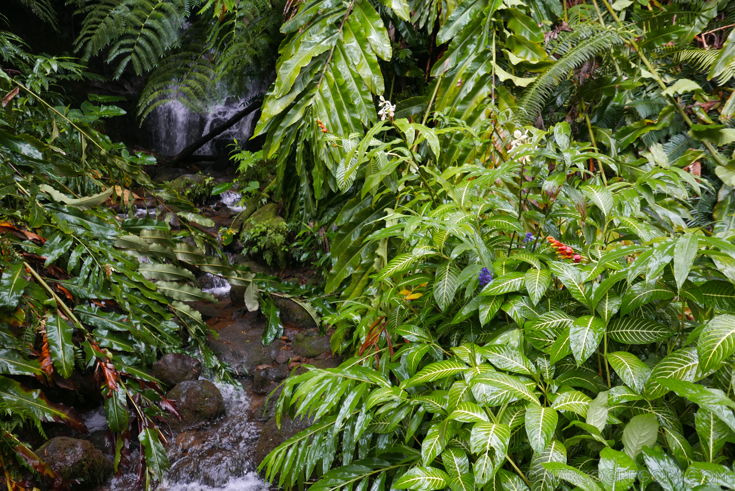 151006 Hawaii 2015 - Photo0556 of 852