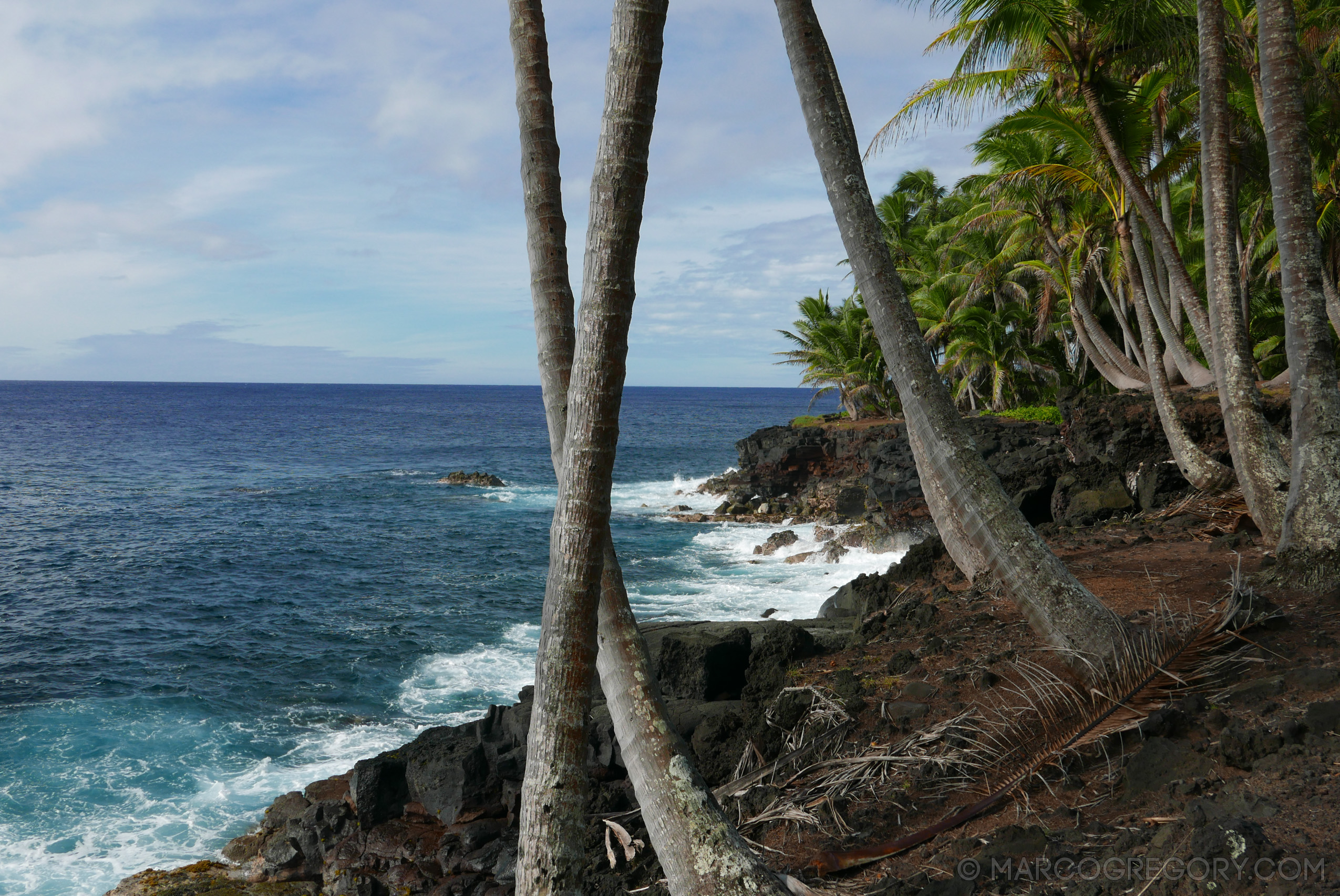 151006 Hawaii 2015 - Photo0587 of 852