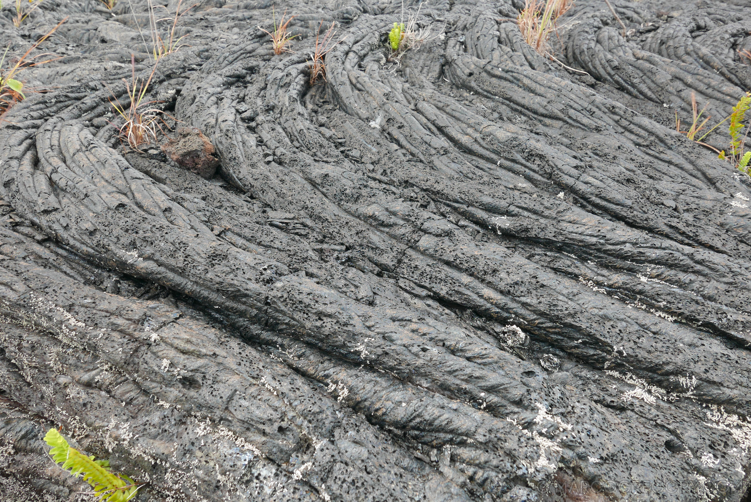 151006 Hawaii 2015 - Photo0599 of 852