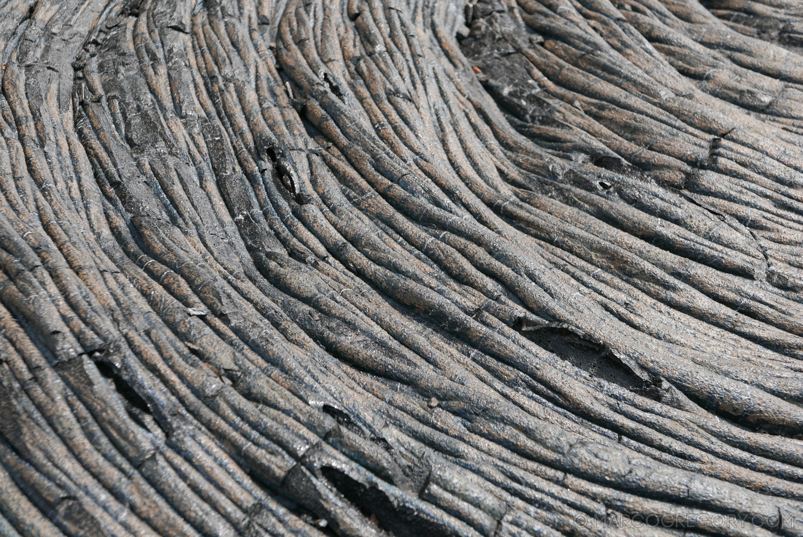 151006 Hawaii 2015 - Photo0619 of 852