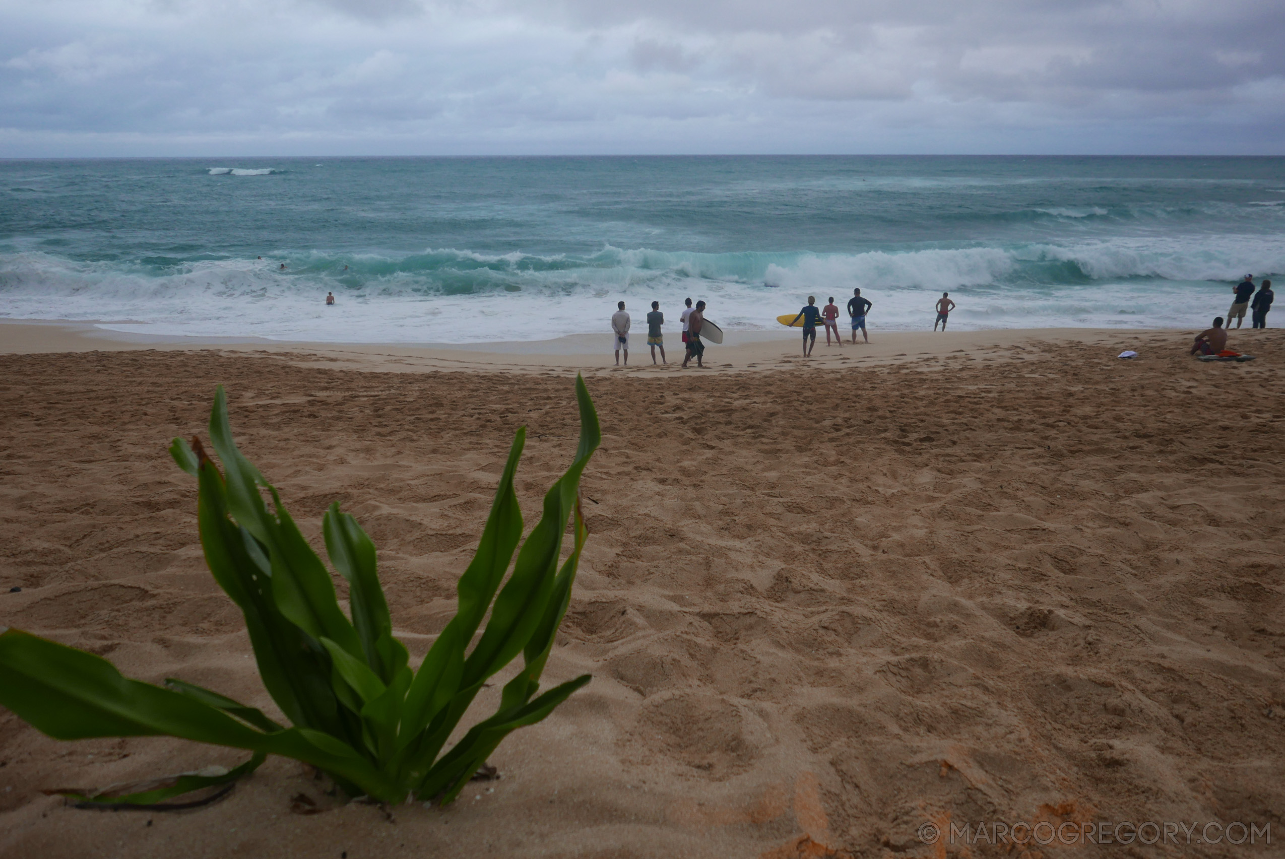 151006 Hawaii 2015 - Photo0752 of 852