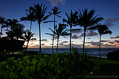 151006 Hawaii 2015 - Photo 0027
