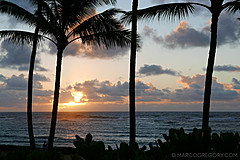151006 Hawaii 2015 - Photo 0029
