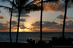 151006 Hawaii 2015 - Photo 0031