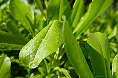 151006 Hawaii 2015 - Photo 0037