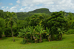 151006 Hawaii 2015 - Photo 0049