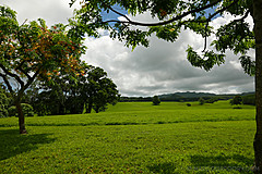 151006 Hawaii 2015 - Photo 0050