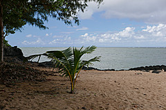 151006 Hawaii 2015 - Photo 0052