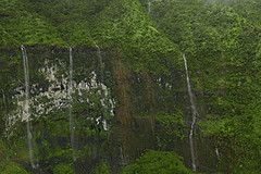 151006 Hawaii 2015 - Photo 0082