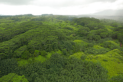 151006 Hawaii 2015 - Photo 0085