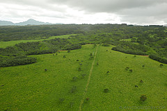 151006 Hawaii 2015 - Photo 0086