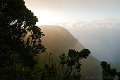 151006 Hawaii 2015 - Photo 0108