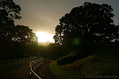 151006 Hawaii 2015 - Photo 0109