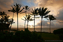 151006 Hawaii 2015 - Photo 0113