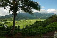 151006 Hawaii 2015 - Photo 0114