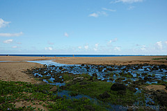 151006 Hawaii 2015 - Photo 0124