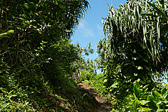 151006 Hawaii 2015 - Photo 0126
