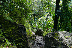 151006 Hawaii 2015 - Photo 0130