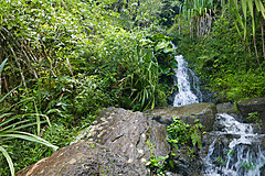 151006 Hawaii 2015 - Photo 0131
