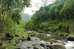 151006 Hawaii 2015 - Photo 0138