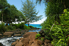 151006 Hawaii 2015 - Photo 0139