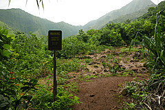 151006 Hawaii 2015 - Photo 0141