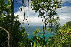 151006 Hawaii 2015 - Photo 0143