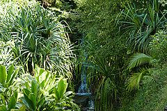 151006 Hawaii 2015 - Photo 0144