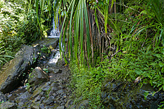 151006 Hawaii 2015 - Photo 0145
