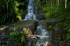151006 Hawaii 2015 - Photo 0146
