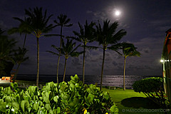 151006 Hawaii 2015 - Photo 0156