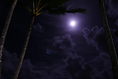 151006 Hawaii 2015 - Photo 0157