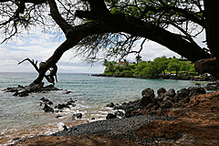 151006 Hawaii 2015 - Photo 0221