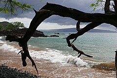 151006 Hawaii 2015 - Photo 0222