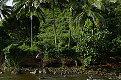 151006 Hawaii 2015 - Photo 0233