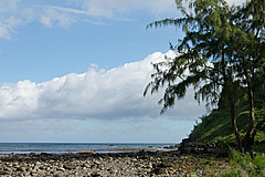 151006 Hawaii 2015 - Photo 0234
