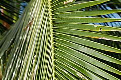151006 Hawaii 2015 - Photo 0236