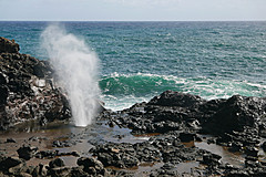 151006 Hawaii 2015 - Photo 0246