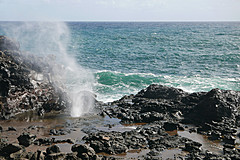 151006 Hawaii 2015 - Photo 0247