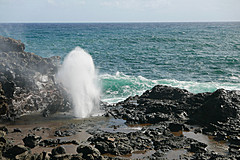151006 Hawaii 2015 - Photo 0248