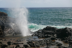 151006 Hawaii 2015 - Photo 0249